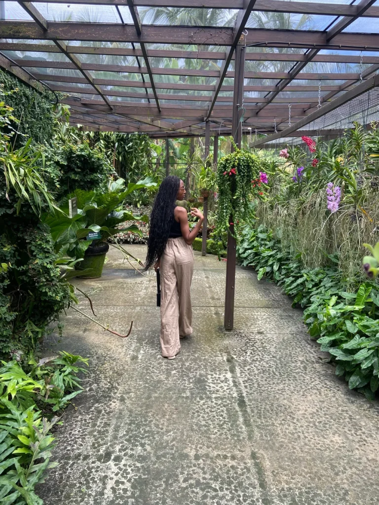 the perfect weekend escape: a day at paradise nature park