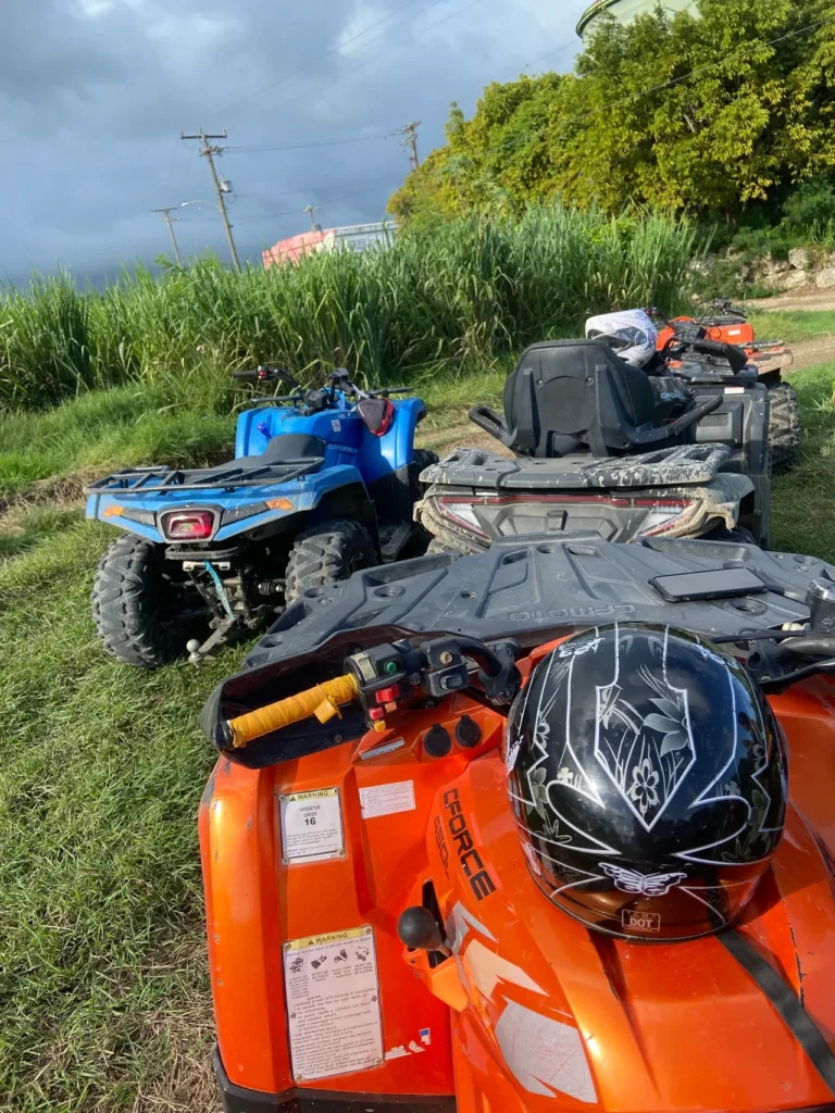 my off-road fury adventure: terrifying, thrilling & unforgettable