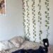 my room makeover begins 🎀✨