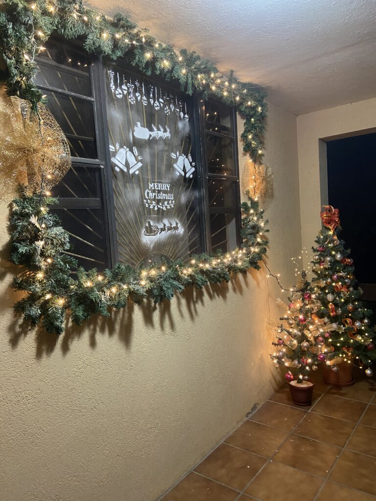 holiday decorating magic: part one🎄✨