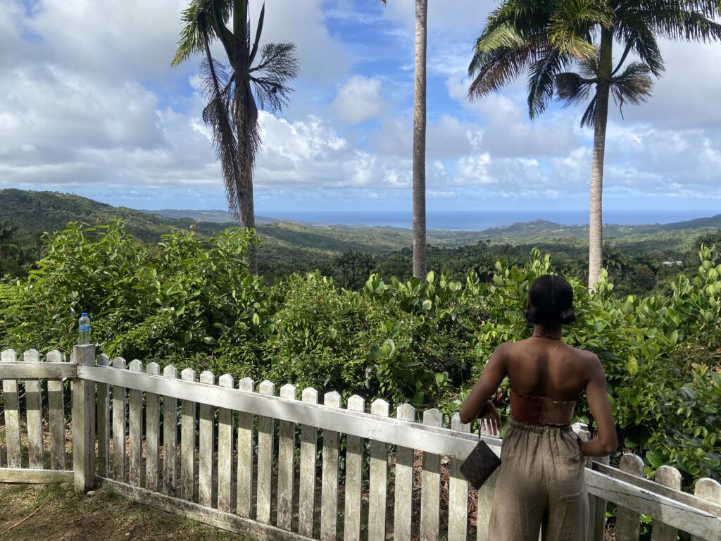 i came for the views, not the voices 😫