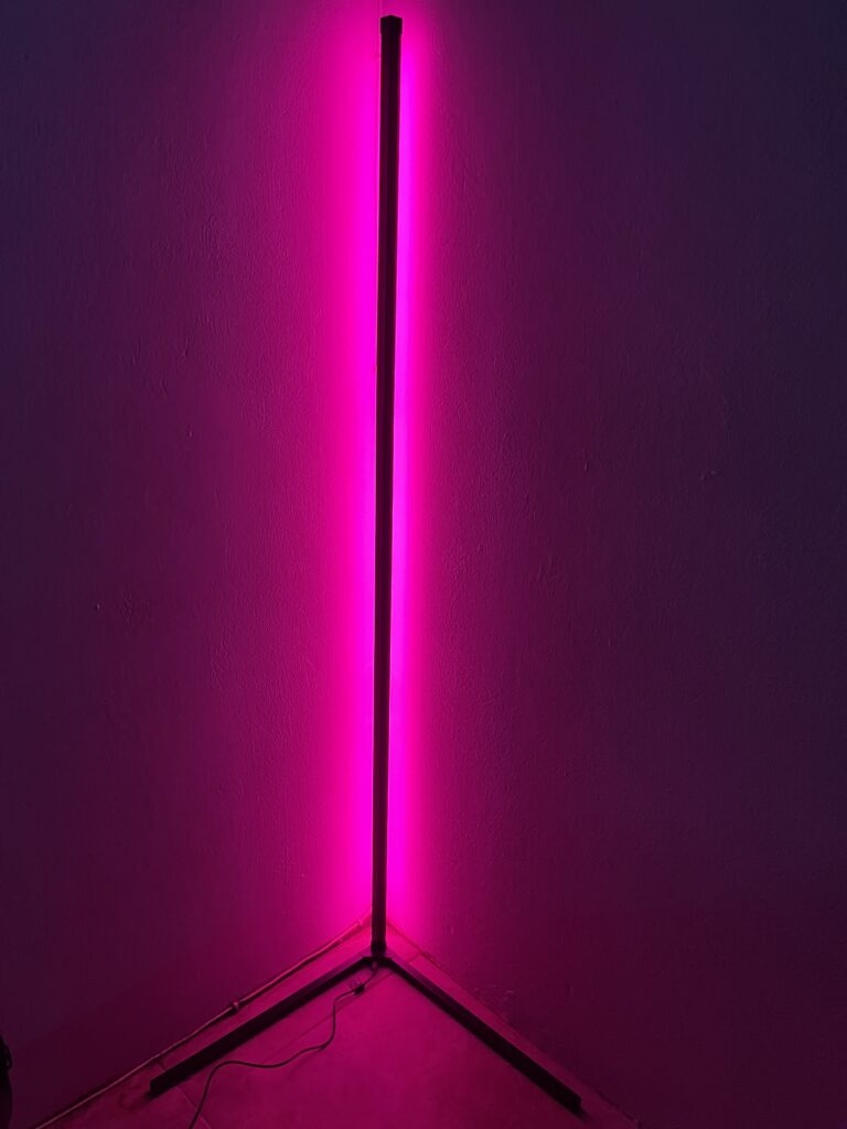 LED FLOOR LAMP